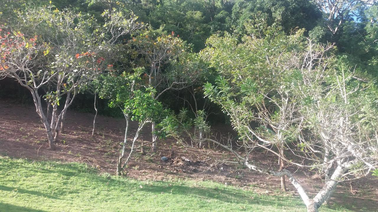Refugio Na Serra 巴纳内拉斯 外观 照片